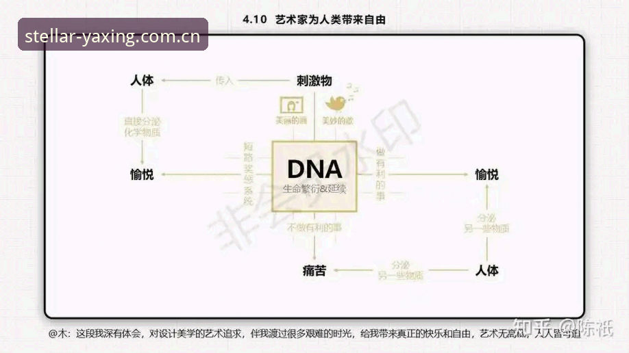 揭秘“全新访问主张赛事数据”：从加载速度到深度统计的底层逻辑
